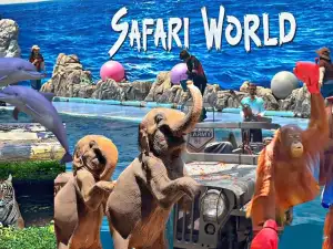 Tour Image