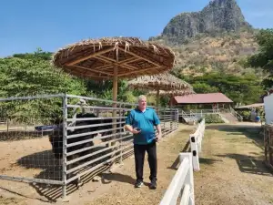 Zucata Sheep Farm