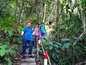 Bukit Lawang Jungle