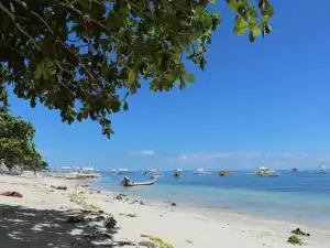 Beach and Island Tours