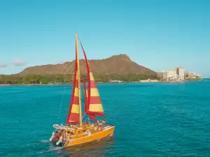 Sea Adventure Tours