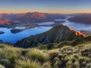 New Zealand